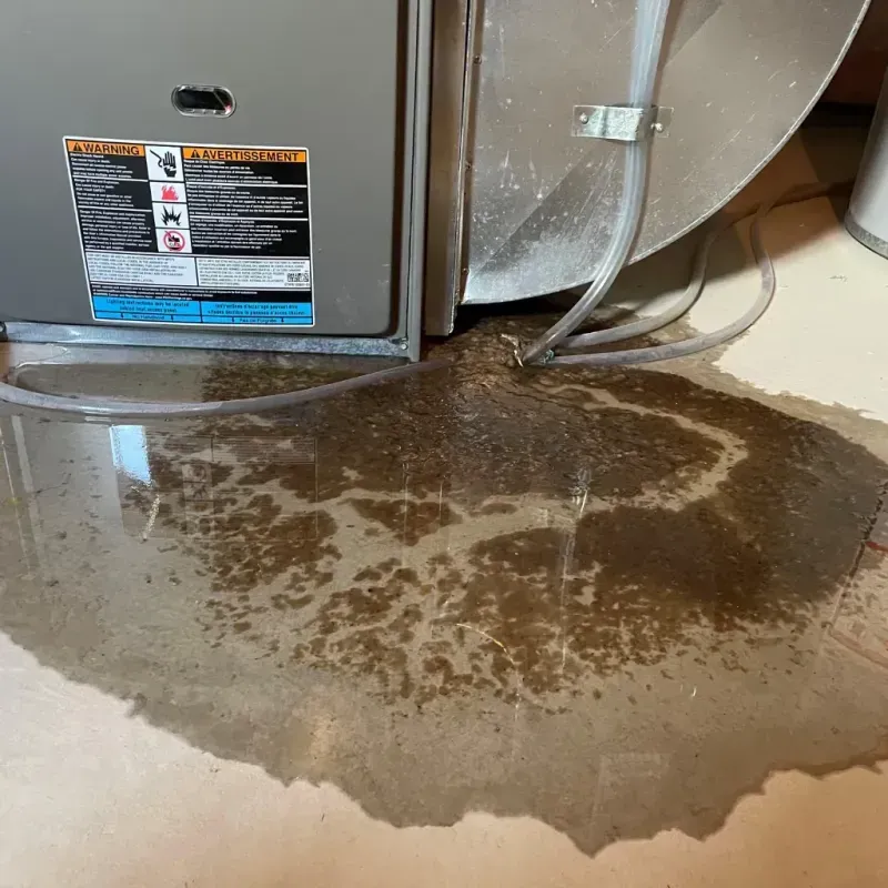 Appliance Leak Cleanup in Ironville, KY